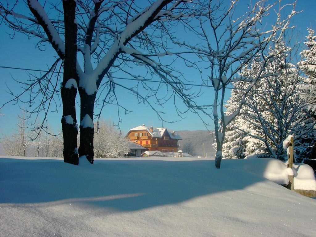 Hotel Da Barba B&B Asiago Exterior photo